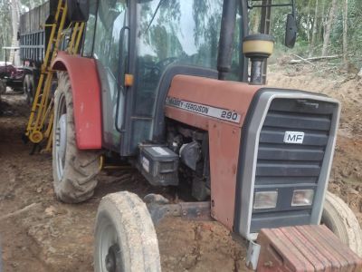 Massey Ferguson 290 Série 300.000